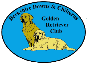 Berkshire Downs and Chilterns Golden Retriever Club